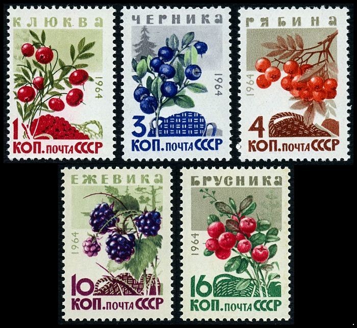 СССР 1964 г. № 3132-3136 Ягоды, серия 5 марок