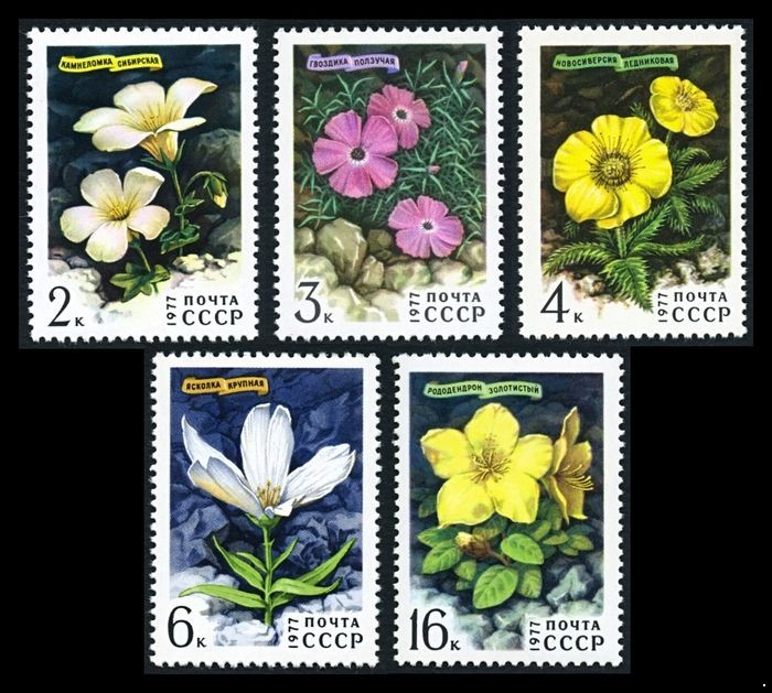 СССР 1977 г. № 4696-4700 Флора. Цветы гор сибири, серия 5 марок.