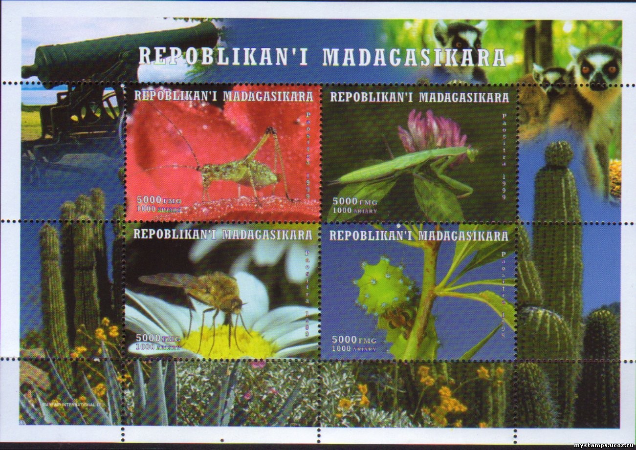 Мадагаскар Насекомые, МЛ