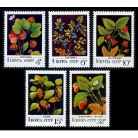 СССР 1982 г. № 5273-5277 Дикорастущие ягоды, серия 5 марок.