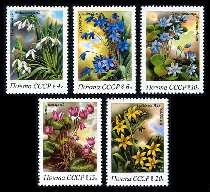 СССР 1983 г. № 5398-5402 Флора. Весенние цветы, серия 5 марок.