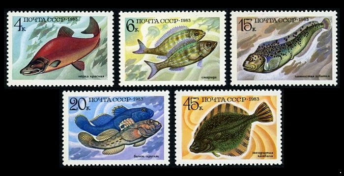 Кликните для увеличения изображения СССР 1983 г. № 5414-5418 Промысловые рыбы, серия 5 марок.