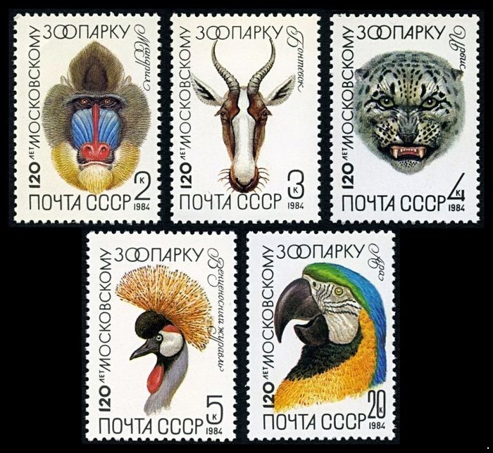 СССР 1984 г. № 5476-5480 120 лет Московскому зоопарку, серия 5 марок.