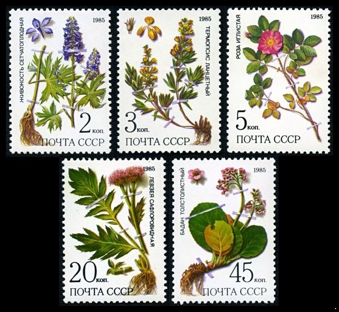 СССР 1985 г. № 5649-5653 Лекарственные растения, серия 5 марок.
