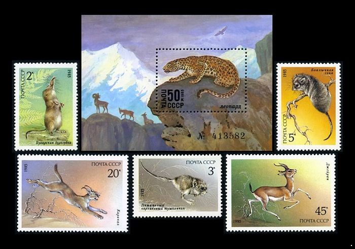 Кликните для увеличения изображения СССР 1985 г. № 5658-5663 Животные