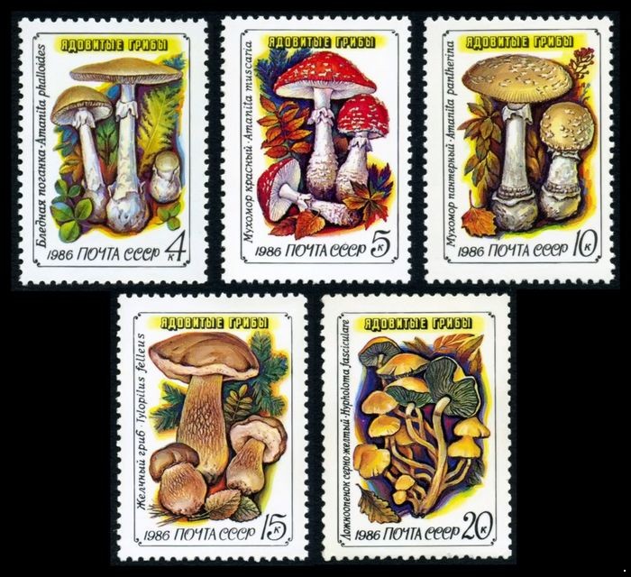 СССР 1986 г. № 5724-5728 Ядовитые грибы, серия 5 марок.