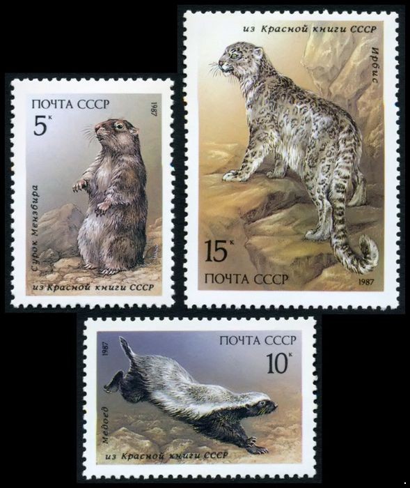 СССР 1987 г. № 5828-5830 Млекопитающие, занесенные в Красную книгу СССР, серия 3 марки.