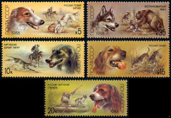 СССР 1988 г. № 5945-5949 Охотничьи собаки, серия 5 марок.