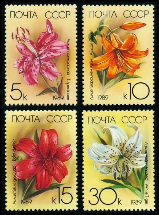 СССР 1989 г. № 6050-6053 Флора. Садовые лилии, серия 4 марки.