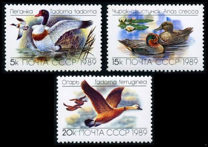СССР 1989 г. № 6084-6086 Фауна. Утки, серия 3 марки.