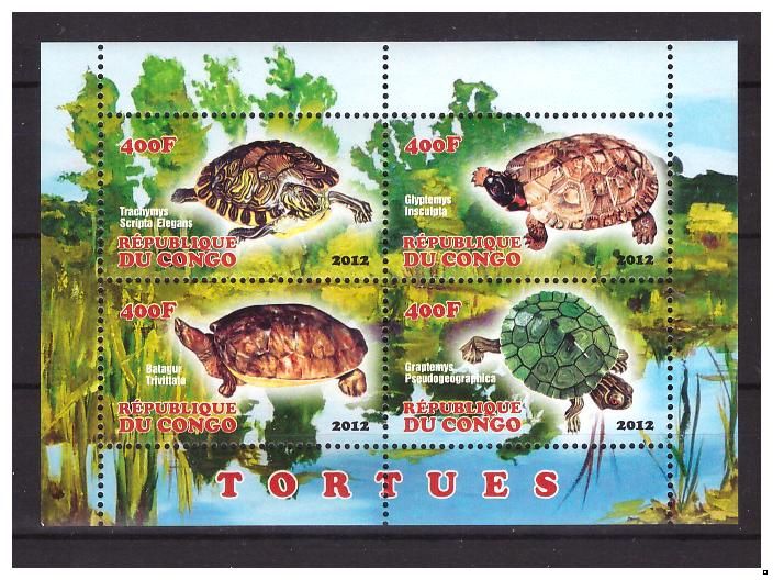 Конго 2012 г. Фауна Черепахи, блок