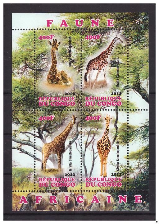 Конго 2012 г. Фауна Африки Жирафы, блок