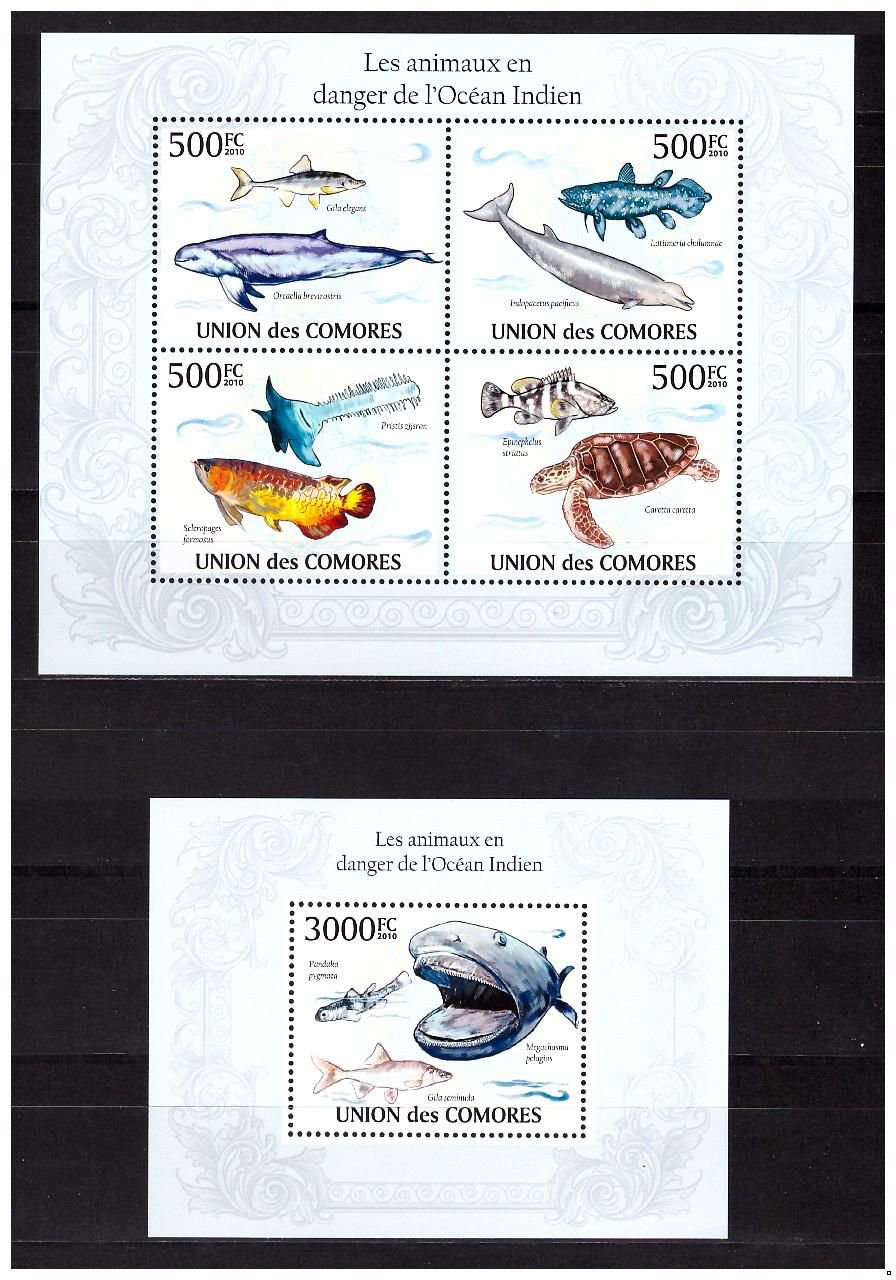 Коморские о-ва 2010 г. Морская фауна Исчезающие виды, блок+МЛ