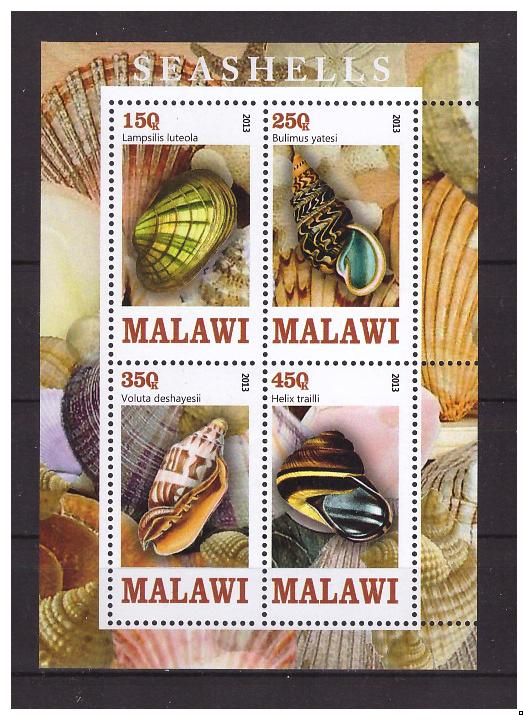 Малави 2013 г. Фауна Моллюски Раковины, блок